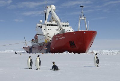 Ukraiński lodołamacz 'Noosfera' ma obsługiwać polską stację antarktyczną