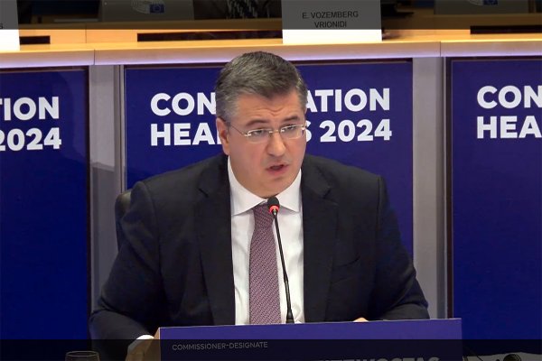 Apostolos Tzitzikostas kandydatem na komisarza ds. transportu zrównoważonego i turystyk...