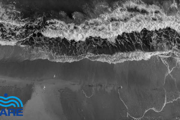 Nasz Bałtyk. Nasz problem! [VIDEO]