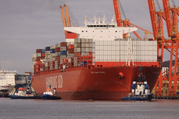 Padł kolejny rekord w Porcie Gdynia [ZDJĘCIA]