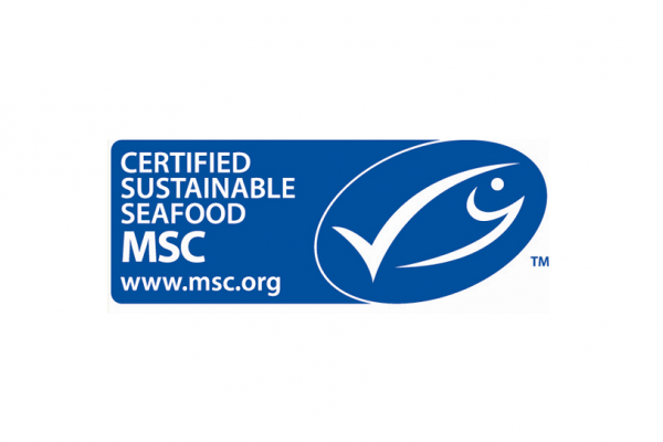 Nowa inicjatywa MSC na rzecz zrównoważonego rybołówstwa małoskalowego na Morzu Bałtycki...