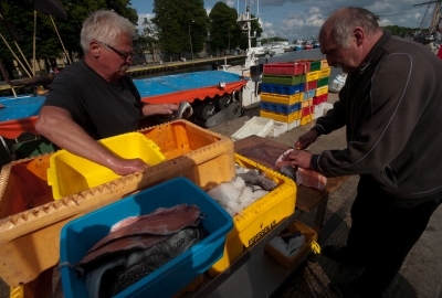 Gróbarczyk: chcemy zwiększyć konsumpcję ryb w Polsce