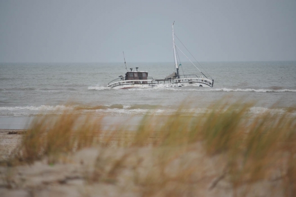 WWF publikuje raport ostatniej szansy dla mórz i oceanów