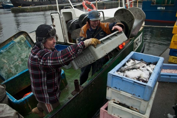 Limit połowowy dla polskich rybaków na 2015 rok rozdzielony