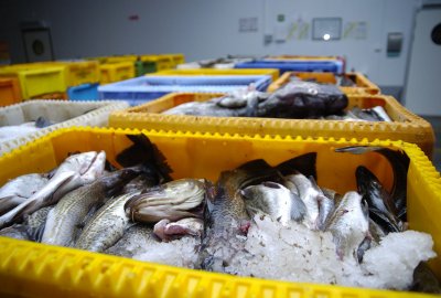 Jemy mniej ryb, ale więcej na nie wydajemy. Nowy raport Komisji Europejskiej