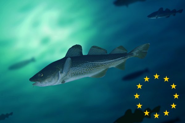 Komisja Europejska proponuje pakiet środków kryzysowych, aby wesprzeć sektory rybołówst...