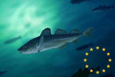 Stanowisko UE ws. przepisów, które mają wesprzeć rybaków bałtyckich...