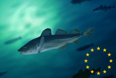 Polityka UE w rybołówstwie Komisja Europejska proponuje pakiet środków kryzysowych, aby wesprzeć sektory rybołówst...