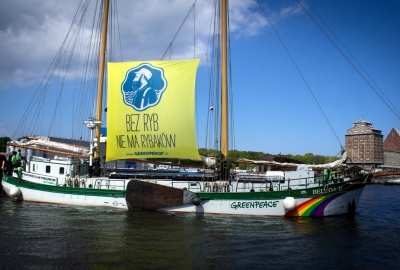 Greenpeace - nowe ustawa nie realizuje polityki unijnej dotyczącej ryboł...