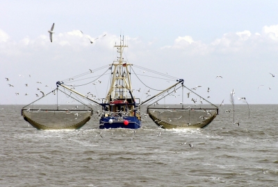 Są nowe limity połowowe na 2015 rok dla stad ryb północno-wschodniego At...