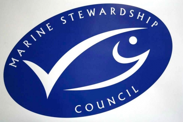 Polscy rybacy otrzymali certyfikat MSC dla dorsza