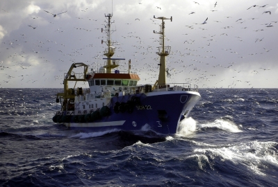 Czy nowy Europejski Fundusz Morski i Rybacki będzie wspierał przełowieni...