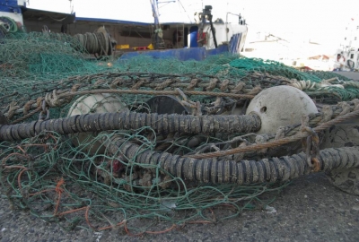 WWF Polska – Problem zagubionych sieci rybackich nadal nierozwiązany