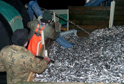 Organizacja ekologiczna PEW wzywa ministrów ds. rybołówstwa UE do działa...