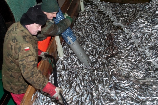 Greenpeace Polska - komentarz do przyjętych przez Radę ds. Rolnictwa i Rybołówstwa dopu...