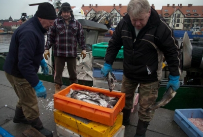 Polscy rybacy skarżą się na nadmierne kontrole