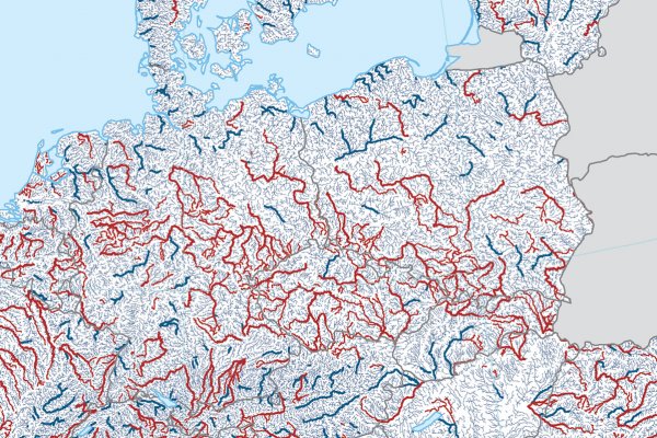 Raport: populacja wędrownych ryb słodkowodnych spadła o ponad 80 proc. od 1970 r.