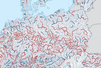 Raport: populacja wędrownych ryb słodkowodnych spadła o ponad 80 proc. od 1970 r.