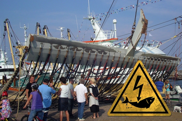 UE rozważa zakaz połowów z rażeniem prądem, Holendrzy przeciwni