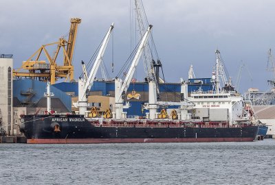 Amerykański masowiec o nośności 28 345 ton African Magnolia przy nabrzeżu byłego Bałtyckiego Terminalu Zbożowego Gróbarczyk: rekordowe przeładunki zbóż w Porcie Gdynia na poziomie 3,3 mln ton w I półr...