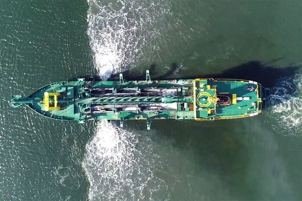 Sztuczne zasilanie brzegu w Górkach Wschodnich