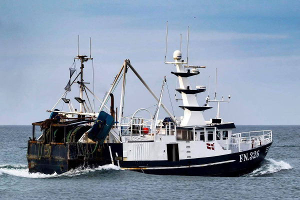 Niegroźna kolizja polskiego masowca Mazowsze z duńskim trawlerem koło Skagen