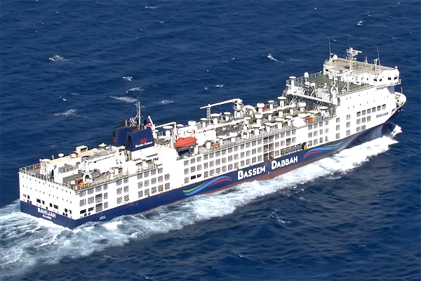 Statek z 16 tys. zwierząt utknął u wybrzeża Australii z powodu zagrożenia stwarzanego p...