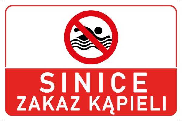Sanepid: sinice na jedenastu kąpieliskach nad morzem w Zatoce Gdańskiej