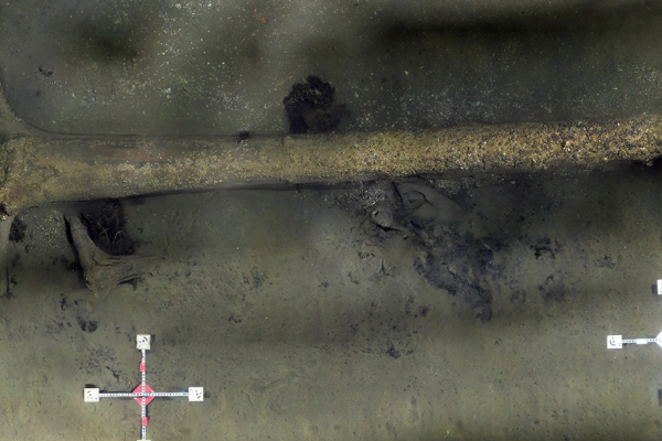 Archeolodzy z NMM w Gdańsku zbadali zatopiony las sprzed 10 tys. lat