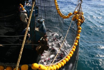 Dwa brytyjskie statki rybackie zatrzymane w ramach działań odwetowych za...