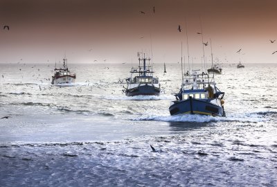 Brytyjski rząd rozczarowany zapowiedzią blokady La Manche przez francuskich rybaków