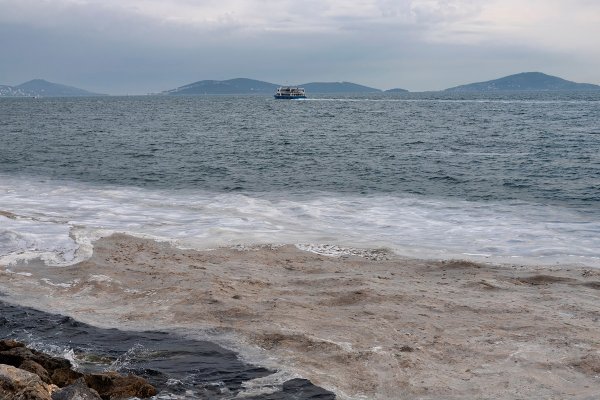 Erdogan zapowiedział ochronę Morza Marmara przed plagą śluzu morskiego