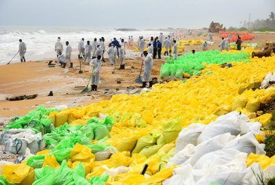 Setki martwych zwierząt morskich wyrzuconych na brzeg po katastrofie sta...