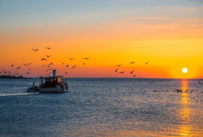 Fot.: Shutterstock Złagodzenie sporu o francuskie rybołówstwo na wodach brytyjskich
