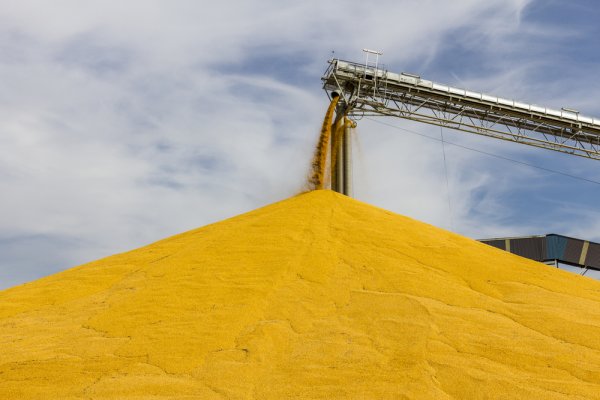 Ministrowie rolnictwa Polski i Ukrainy będą rozmawiać na temat eksportu zbóż