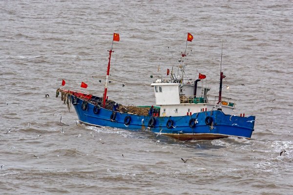 Kyodo: ryby z łowiących nielegalnie statków mogą trafiać na stoły w Japonii