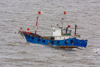 Kyodo: ryby z łowiących nielegalnie statków mogą trafiać na stoły w Japo...