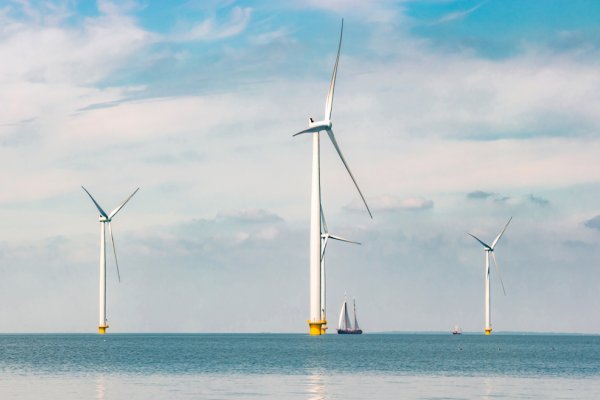 Polski nie stać na wstrzymanie inwestycji w morską energetykę wiatrową