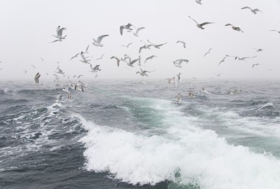 Fot.: Shutterstock Ostrzeżenie o sztormie