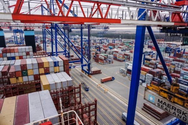 Ogromny przemyt na terenie gdańskiego portu. KAS ujawnił narkotyki i leki o wartości 34...