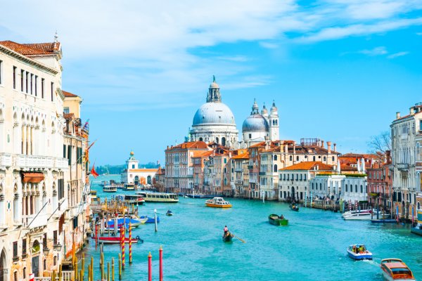 Niewytłumaczalny pomór ryb w kanałach w Wenecji