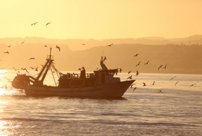 PIE: Przełowione łowiska stanowią 36 proc. światowego zasobu