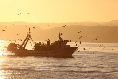 Zdjęcie ilustracyjne (Fot.: Shutterstock) PIE: Przełowione łowiska stanowią 36 proc. światowego zasobu