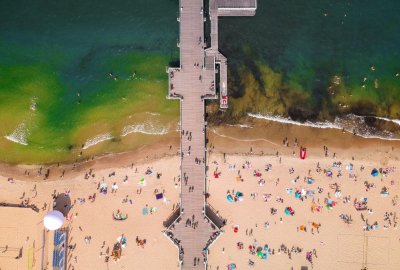 Fot.: Shutterstock Sinice pojawiły się na piętnastu kąpieliskach nad morzem i jeziorami