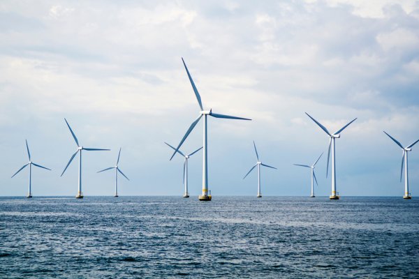 Pierwsza z linii wyprowadzających moc z morskich farm wiatrowych z decyzją lokalizacyjn...