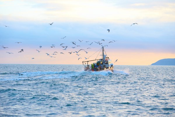 Komisja Europejska przedstawia pakiet środków zmierzających do poprawy sektora rybołóws...