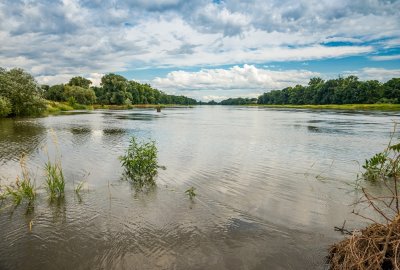 Zdjęcie ilustracyjne (Fot.: Shutterstock) Zespół ws. Odry za dalszą instalacją biostabilizatorów w starorzeczach, by ograniczyć
