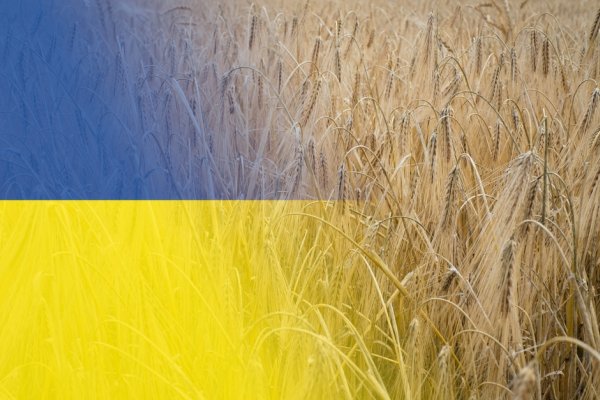 Wojciechowski: transport ziarna z Ukrainy przez Polskę się po prostu nie opłaca