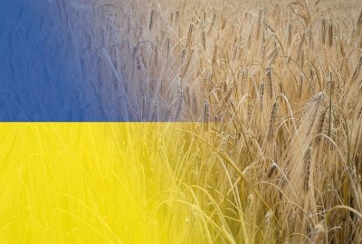 Wojciechowski: transport ziarna z Ukrainy przez Polskę się po prostu nie opłaca