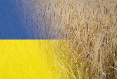Zdjęcie ilustracyjne (Fot.: Shutterstock) Wojciechowski: transport ziarna z Ukrainy przez Polskę się po prostu nie opłaca